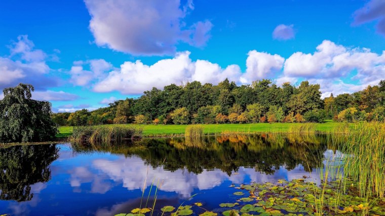 Природа водоем