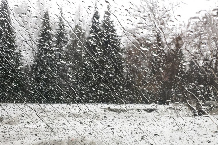Зимний дождь
