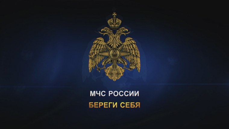 День спасателя 2019