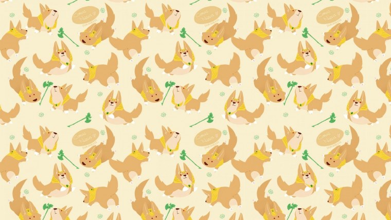 Собака выглядывает