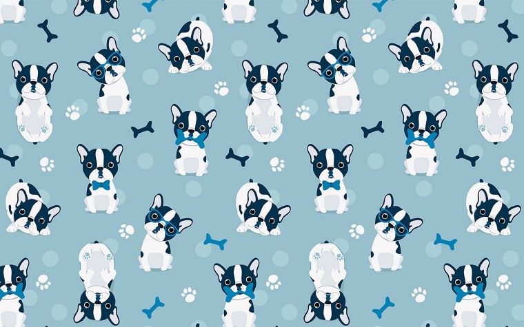 Корги пемброк