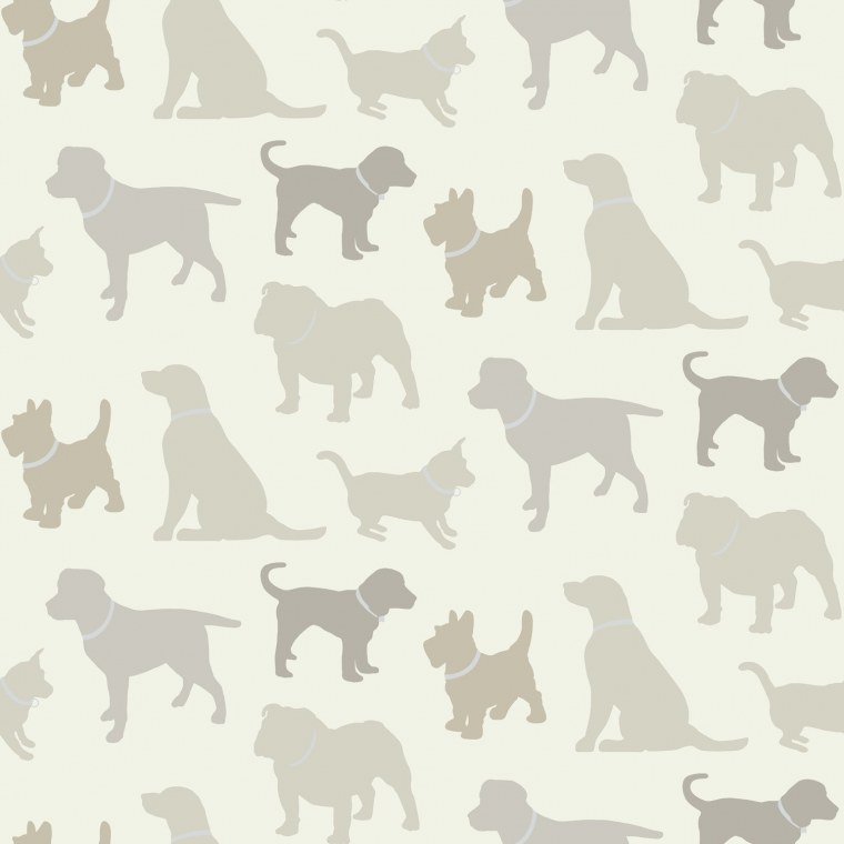 Собака на однотонном фоне