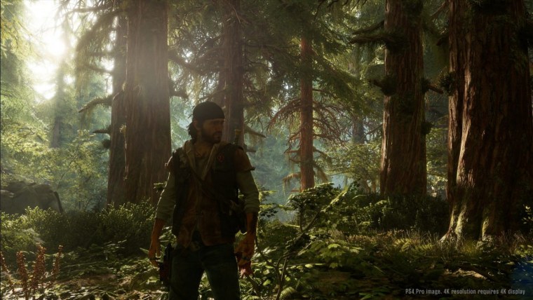 Days gone Эдди