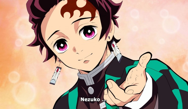 Demon Slayer Kamado Tanjirou