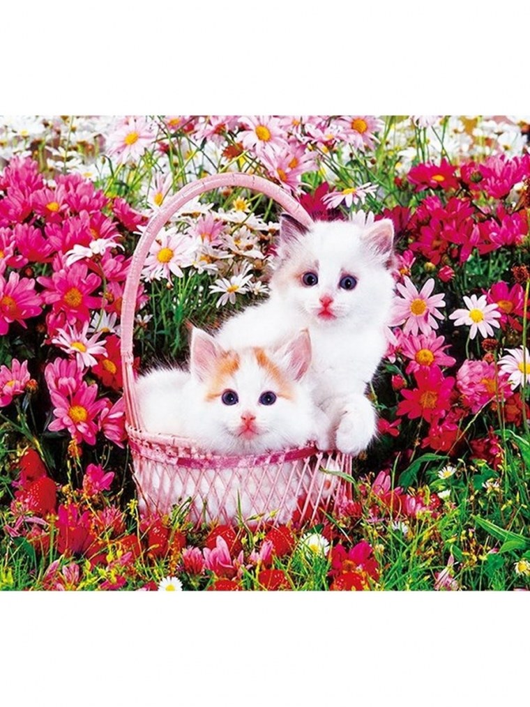 Котенок с цветочком