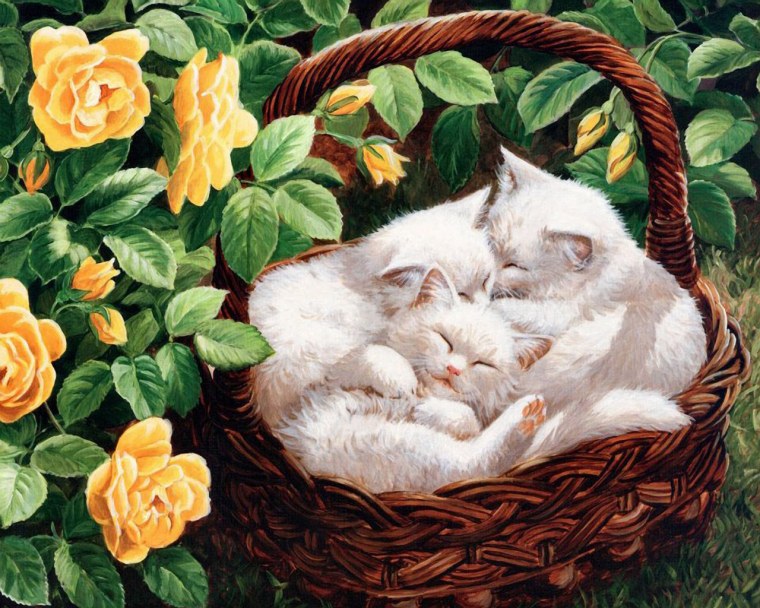 Поздравительные открытки с котятами