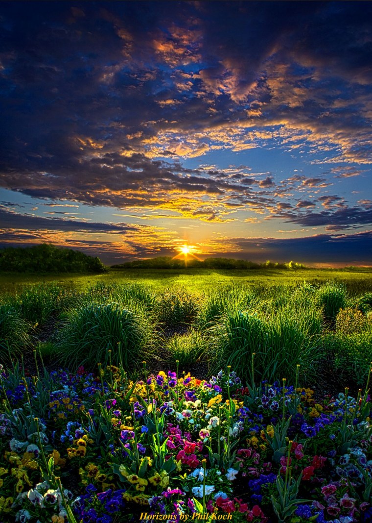 Яркая природа