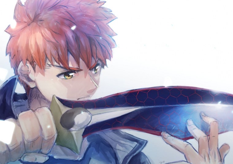 Судьба Эмия Широ