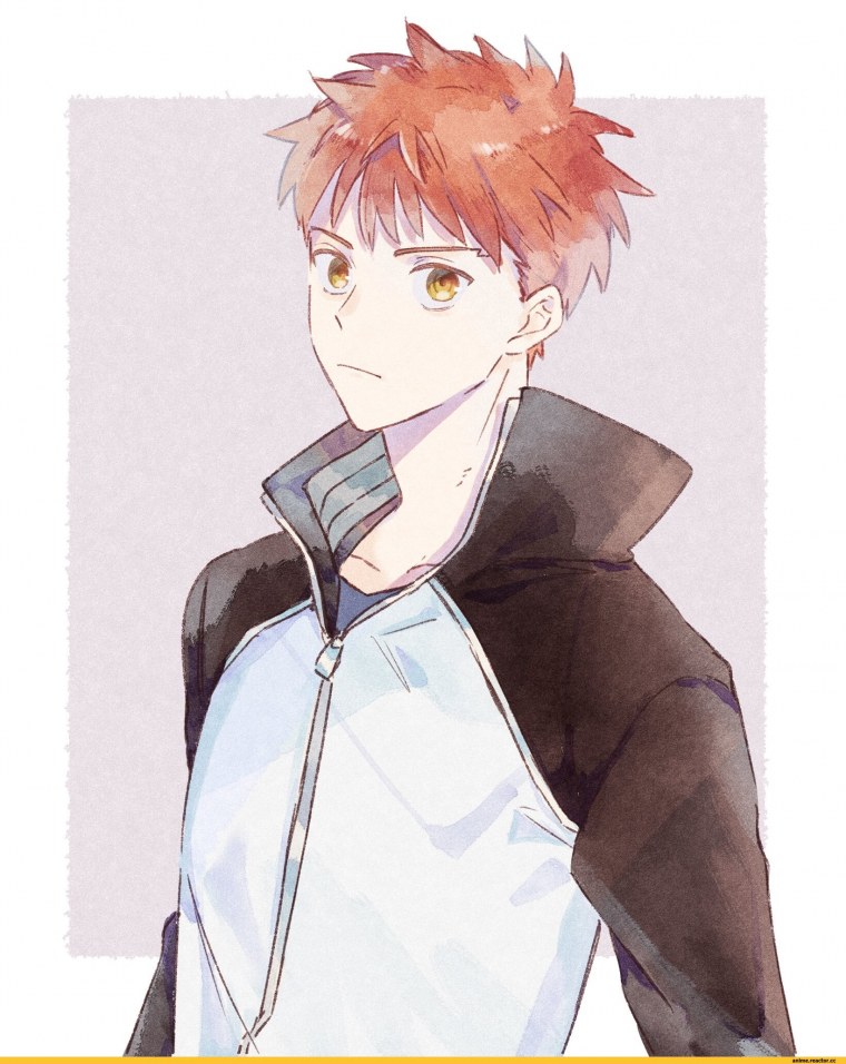 Эмия Широ Кастер