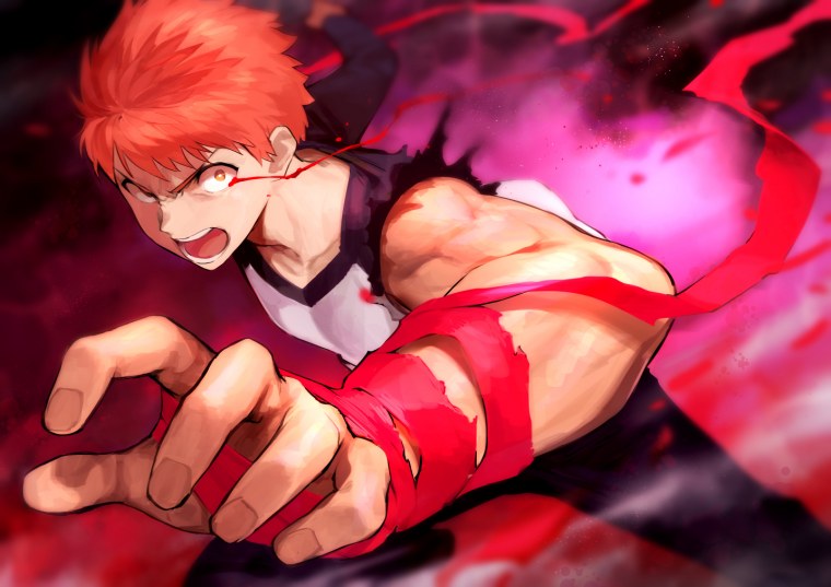 Эмия Широ 2006