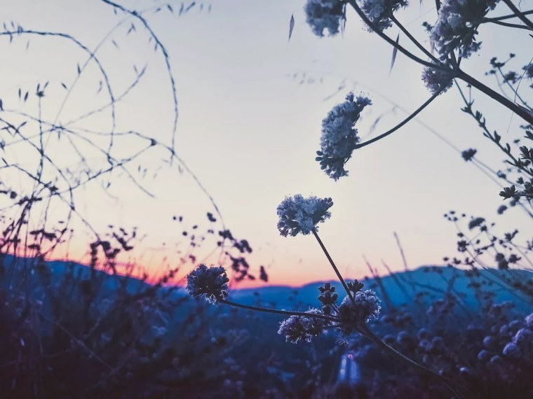 Лето Эстетика