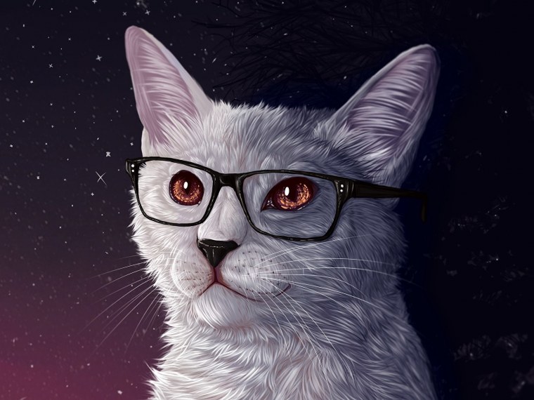 Кот в черных очках