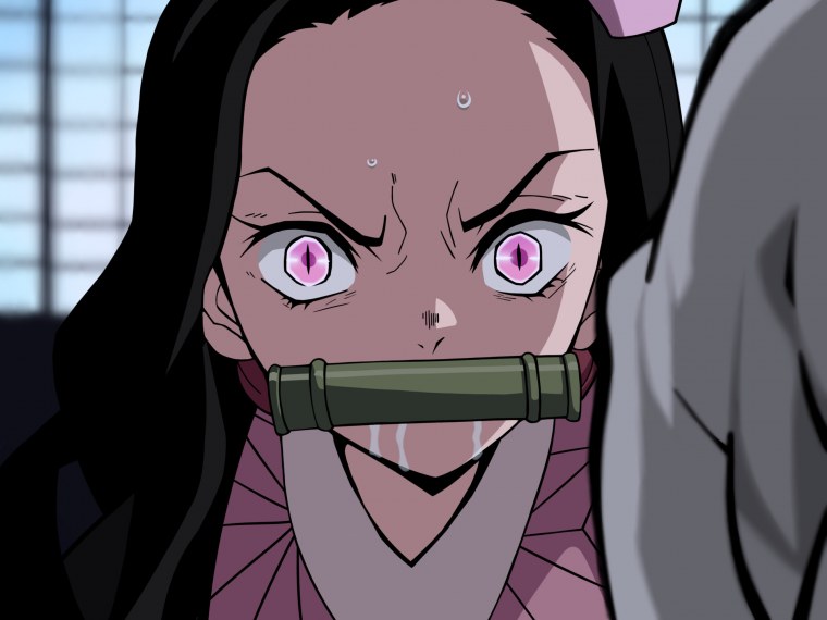 Незуко Камадо аниме