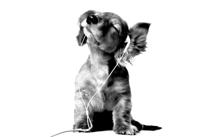 Заставка на рабочий стол