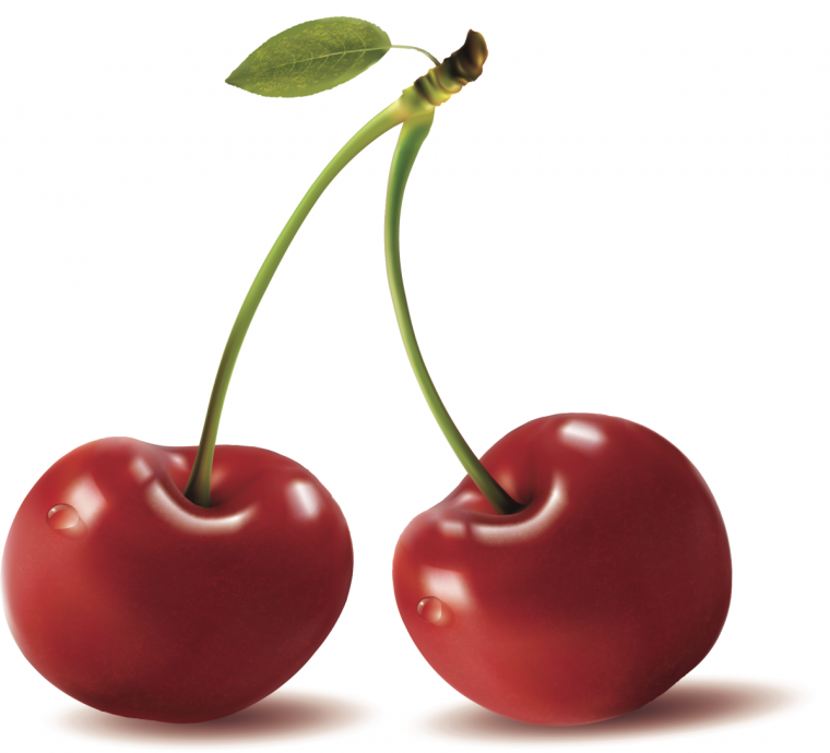 Морозовская десертная вишня