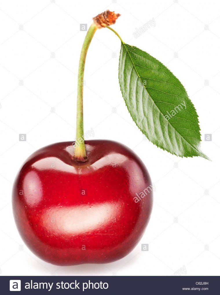 Вишня и черешня