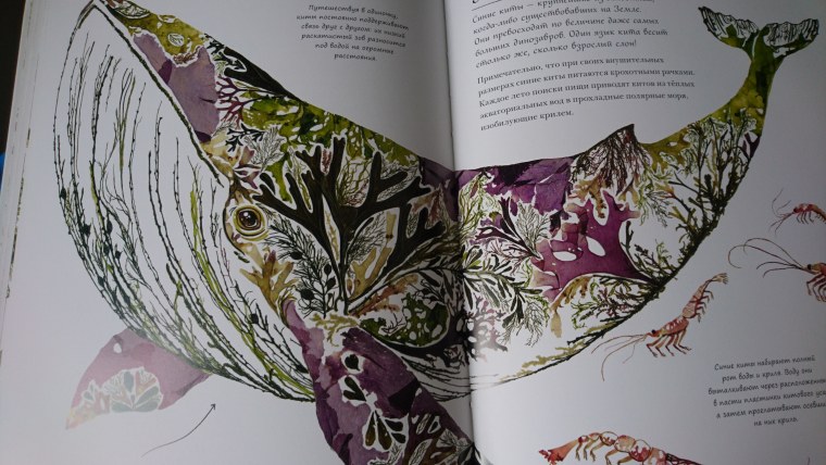 Теория кино