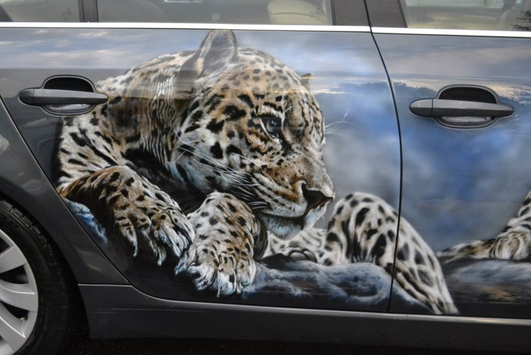 Аэрография. Авто