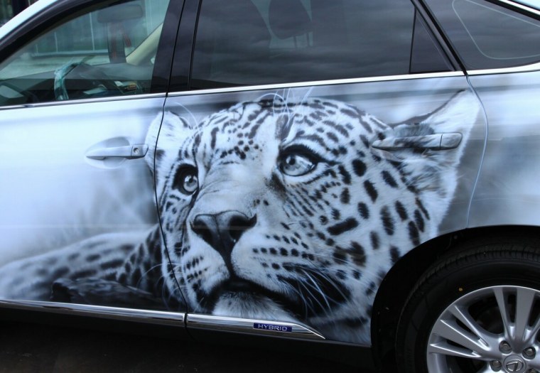 Аэрография. Авто