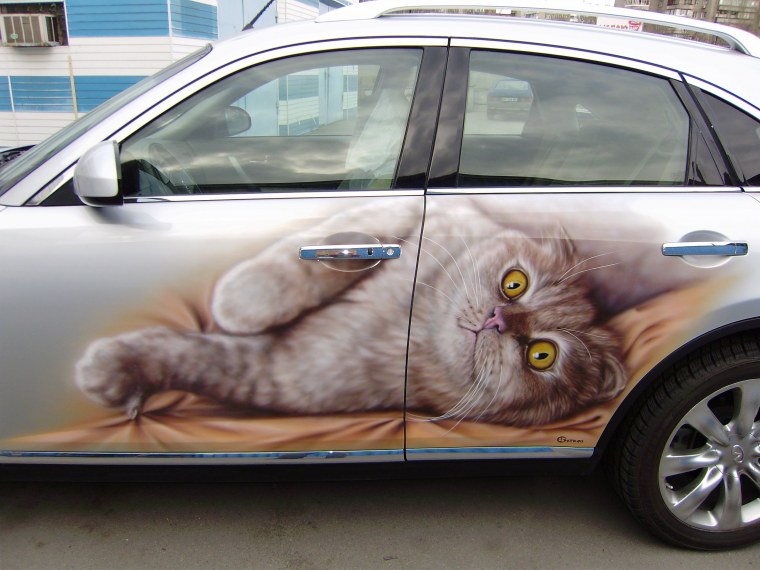 Аэрография медведь