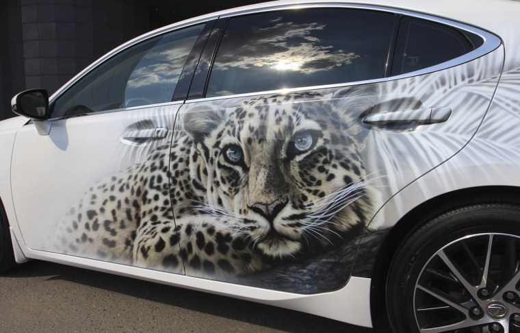 Аэрография на белой машине