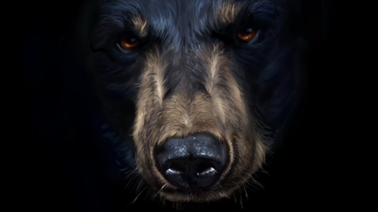 Медведь 1920х1080