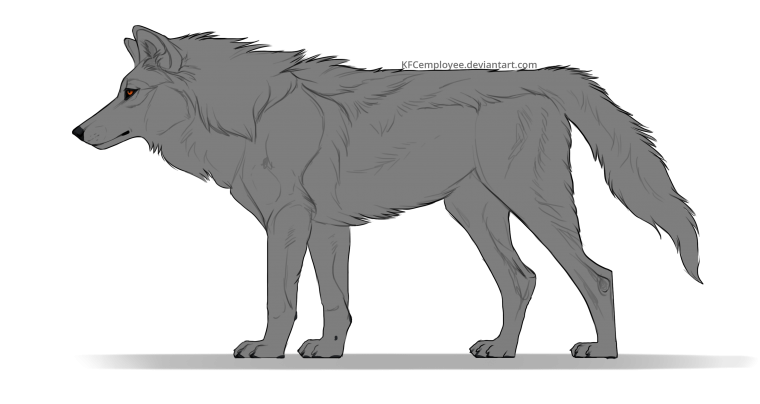 Волк спереди в полный рост