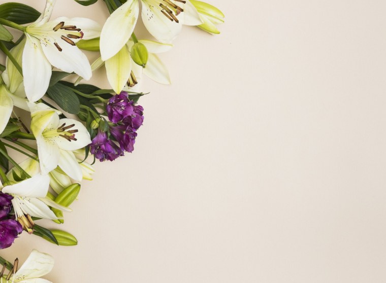 Цветы яркие нежные красивые