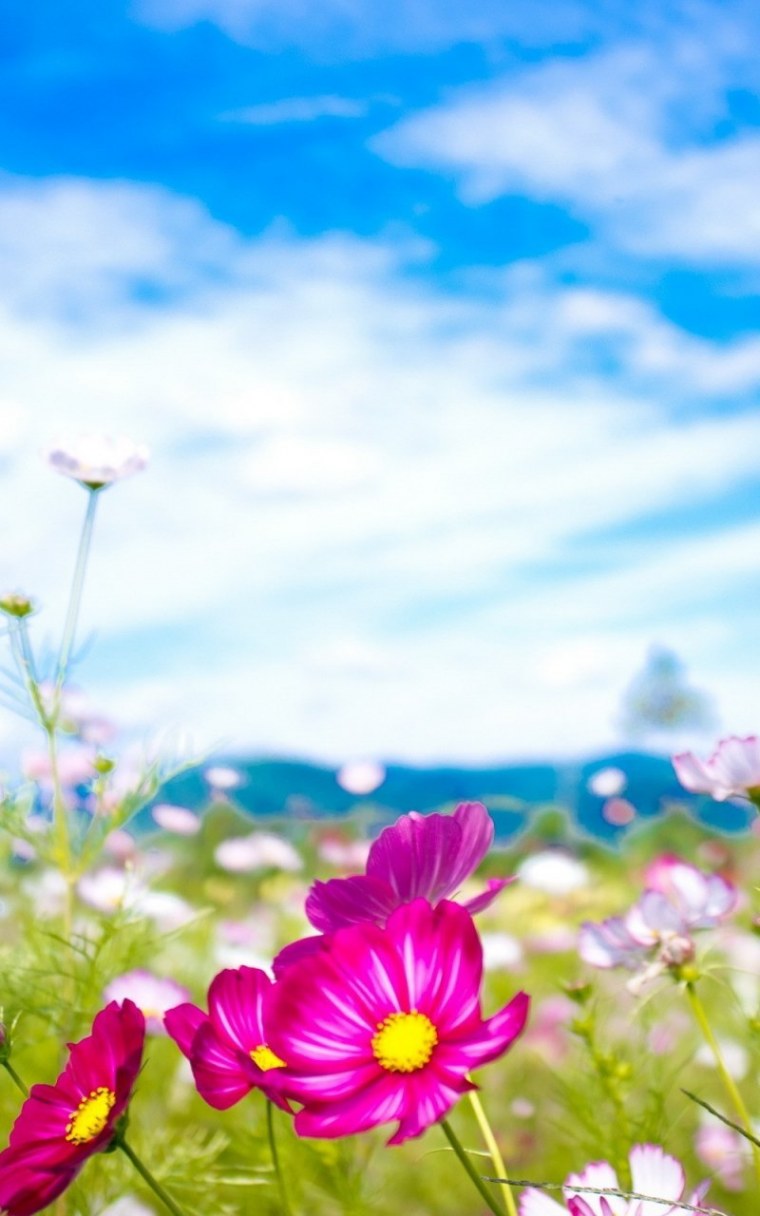 Фон для открытки