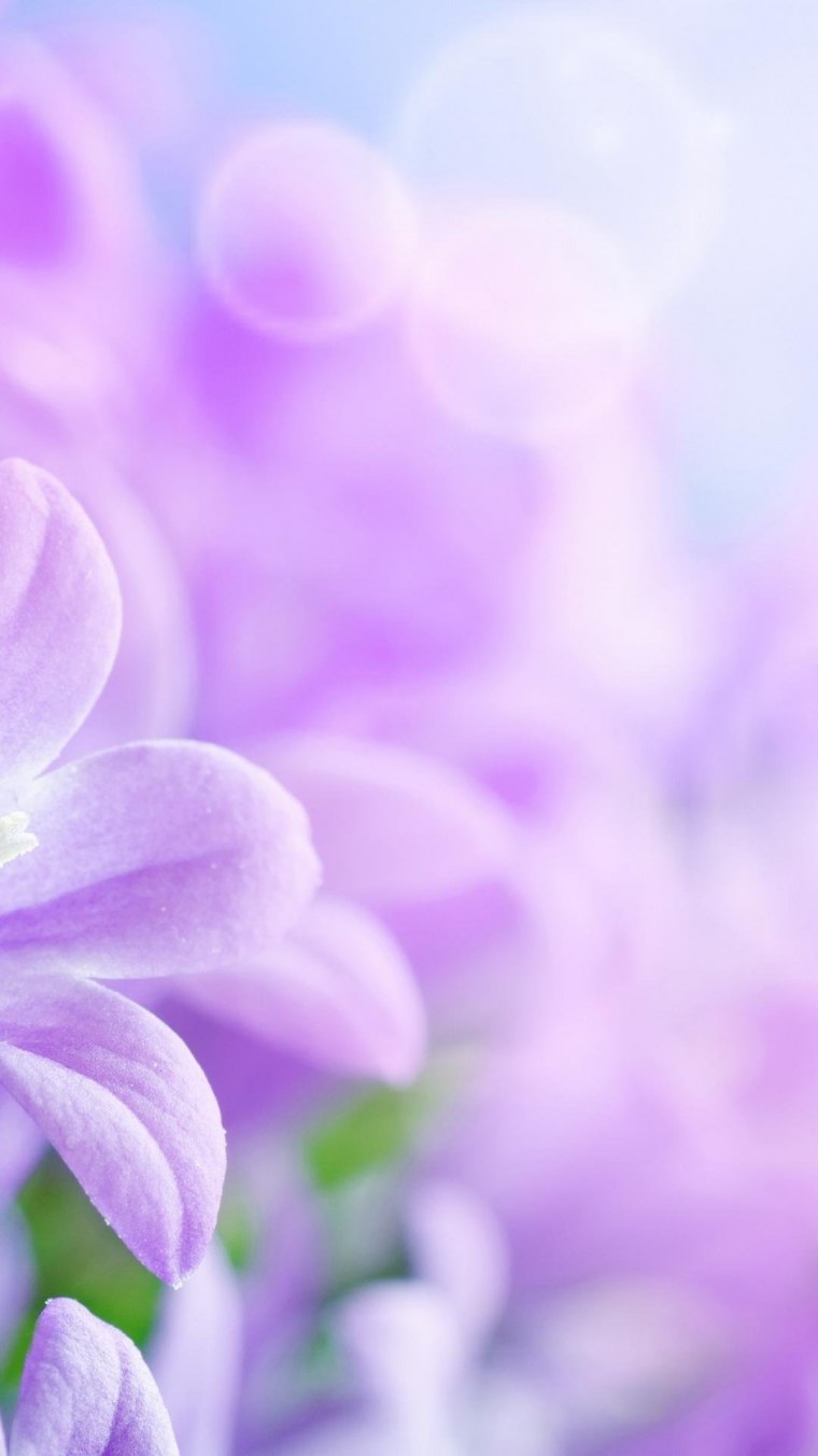 Фон для текста