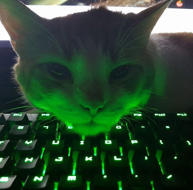 Крутые обои на клавиатуру