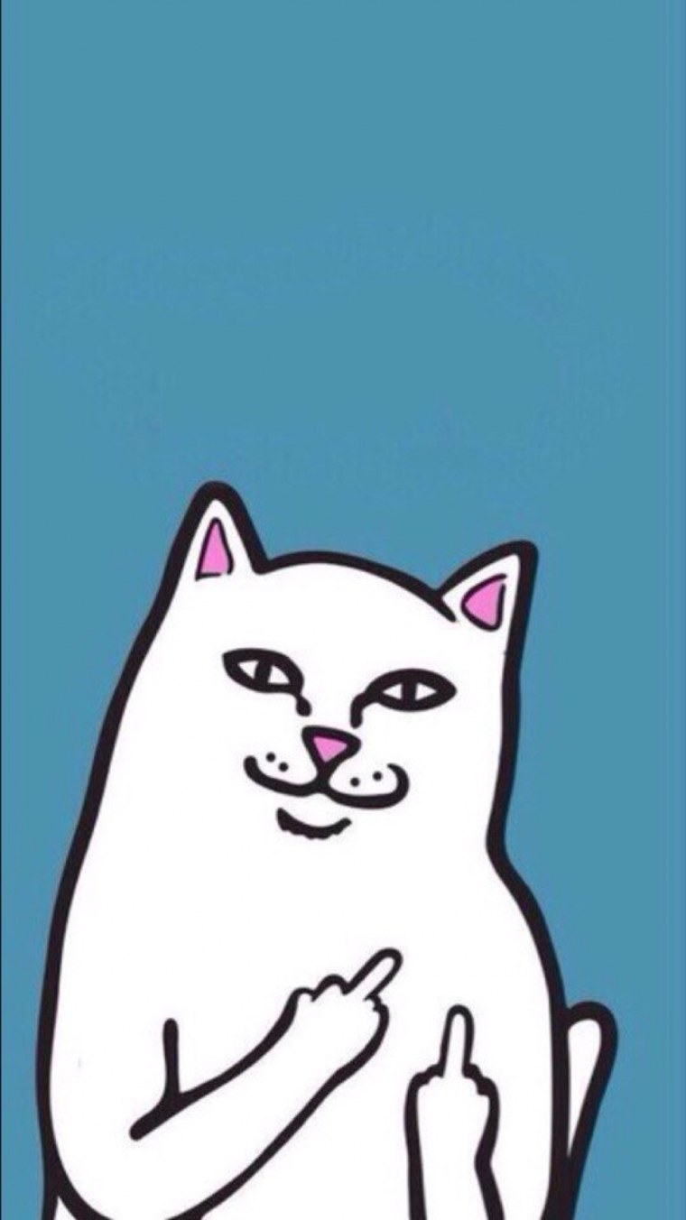 Кот с факом