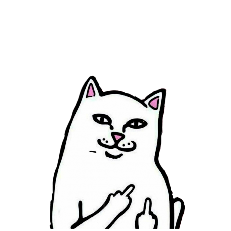 Кот с факом