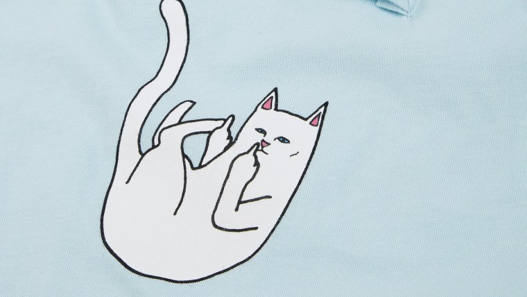 Топовые обои с котом