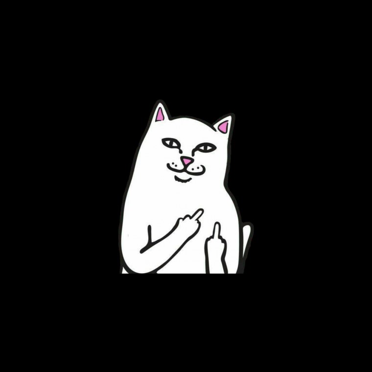 Кот с факами паттерны