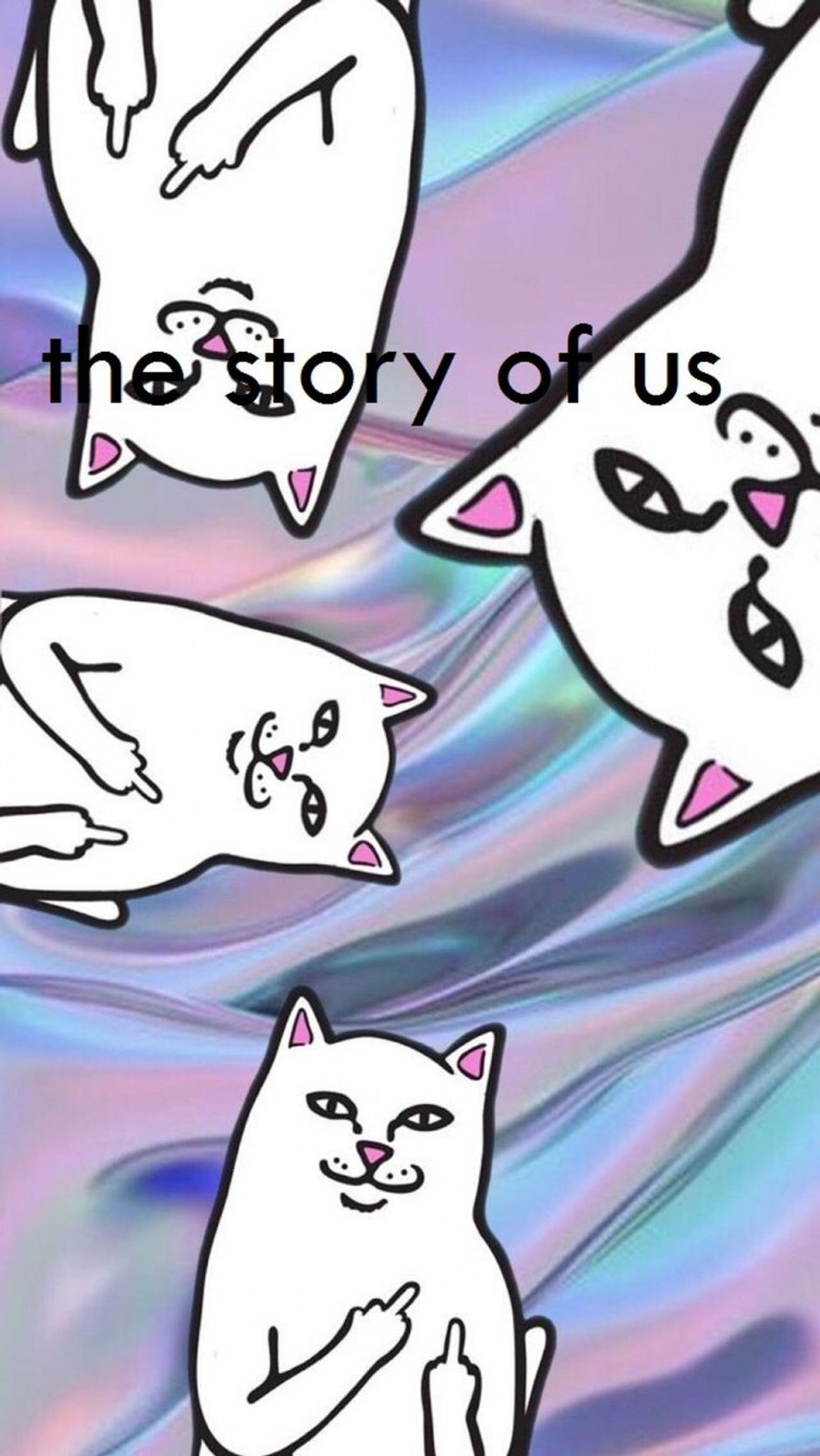 Котик рипндип