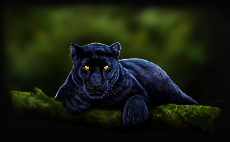 Глаза пантеры