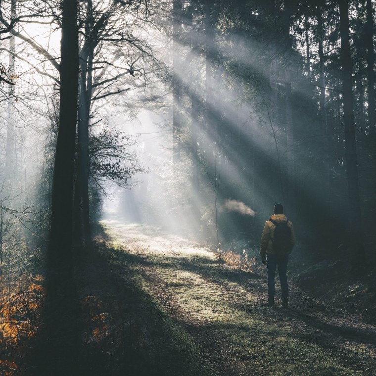 Природа туман