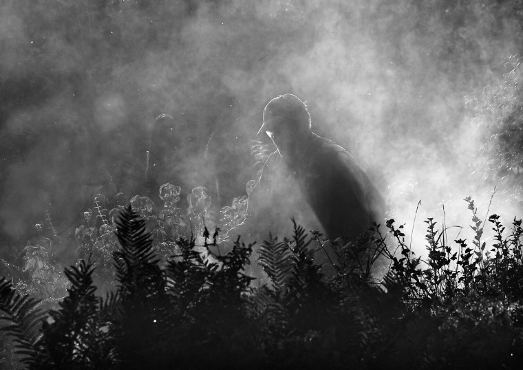 Растворился в тумане