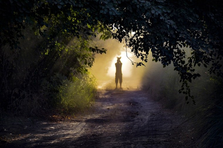 Человек со спины