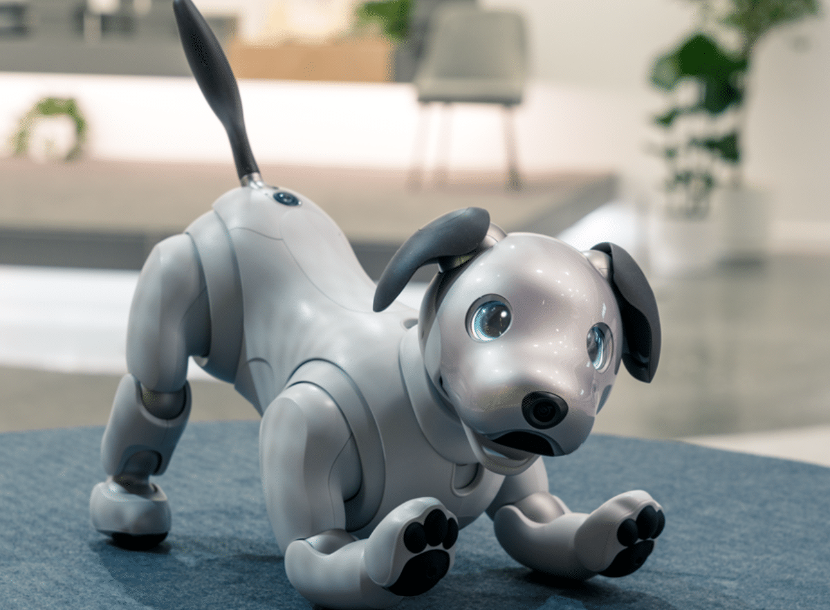 Sony aibo. Робот собака Aibo. Робот Aibo от Sony. Sony Aibo 1999. Aibo ers-1000.