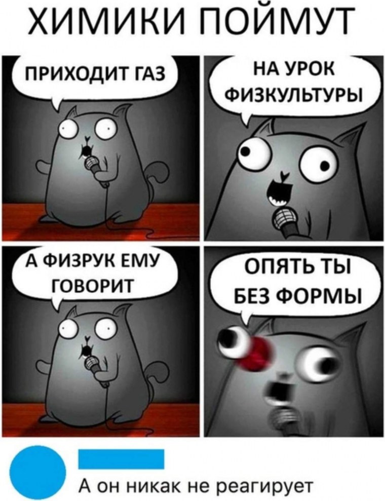 Стендап кот