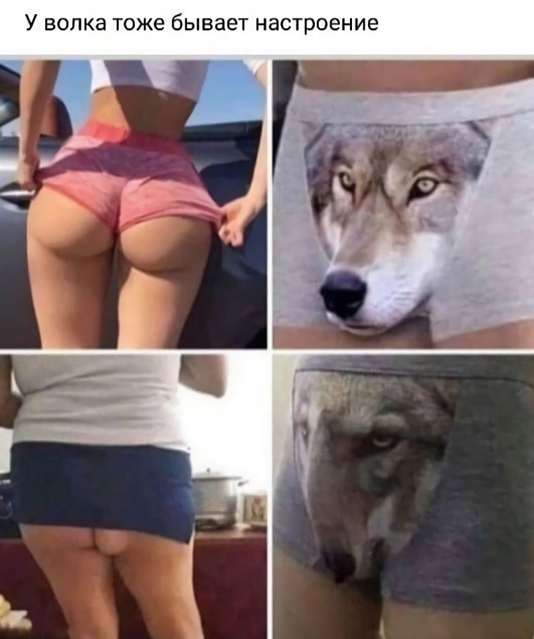 Волк одиночка Мем