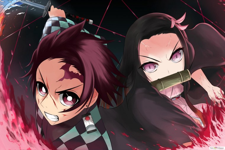 Demon Slayer Kimetsu no Yaiba