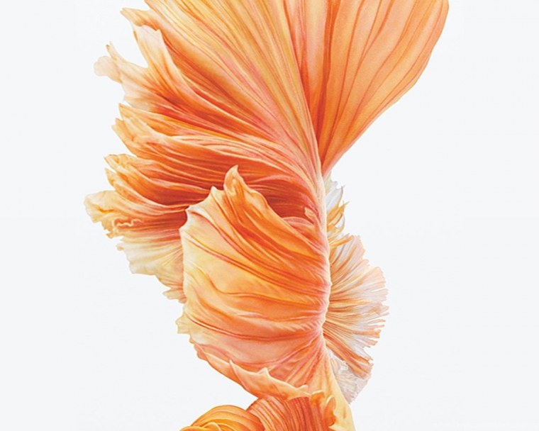 Красивые заставки на айфон