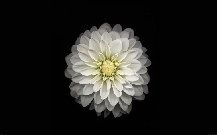 Красивые обои на IPAD