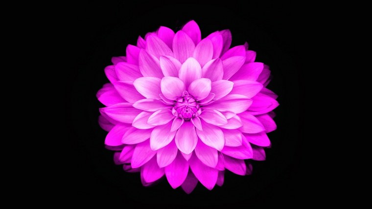 Заставка черный фон