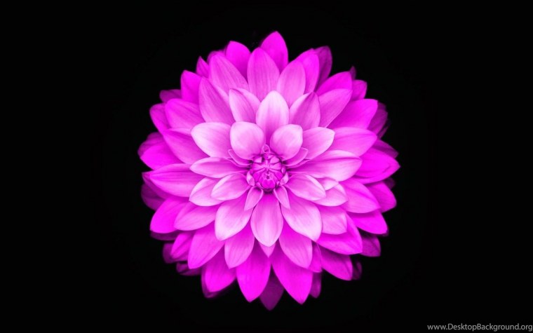 Заставка на айфон