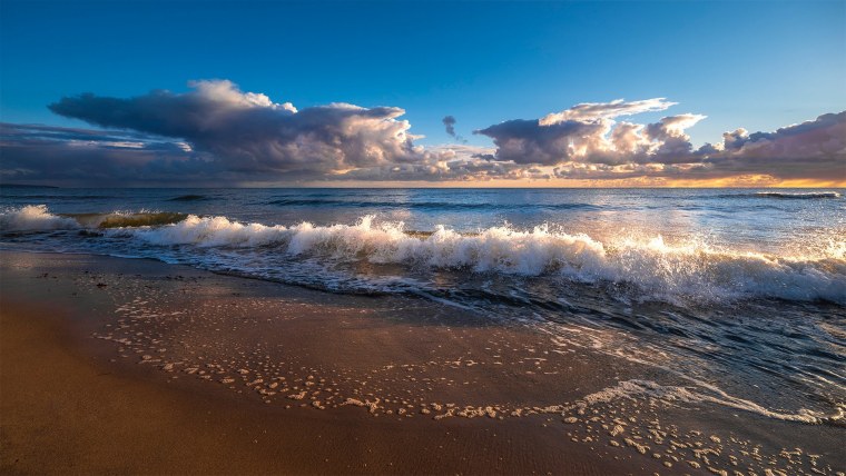 Южный берег Балтийского моря