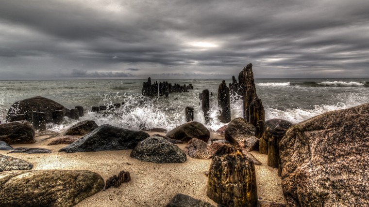 Ортоцерас Балтийское море